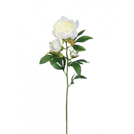 Pivoňka x3 krém, 66 cm