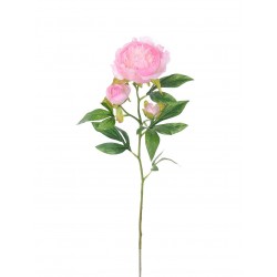 Pivoňka x3 krémovo-růžová 66 cm