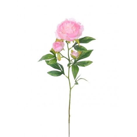 Pivoňka x3 krém-růž., 66 cm