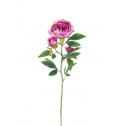 Pivoňka x3 lavender 66 cm