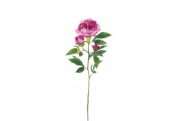 Pivoňka x3 lavender 66 cm