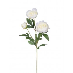 Pivoňka x3 krémová 67 cm