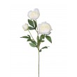 Pivoňka x3 krém., 67 cm