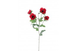 Sasanka Anemonka červená 62 cm