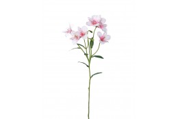 Alstromerie bílo-růžová 65 cm