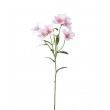 Alstromeria
