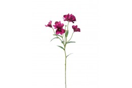 Alstromerie tm. fialová 65 cm