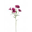 Alstromeria