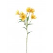 Alstromeria