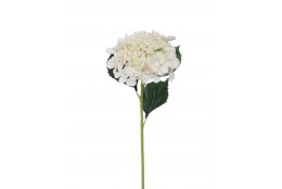 Hortenzie krémová 52 cm