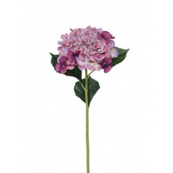 Hortenzie fialová 52 cm