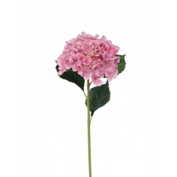 Hortenzie růžová 52 cm