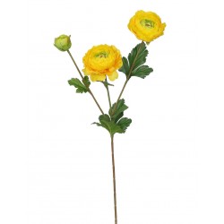 Ranunculus žlutý 66 cm