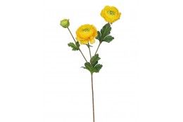 Ranunculus žlutý 66 cm