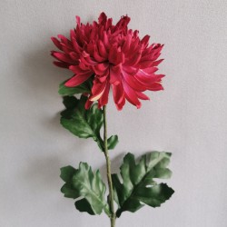 Chryzantéma fialová 60 cm - výprodej