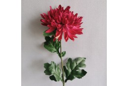 Chryzantéma fialová 60 cm - výprodej