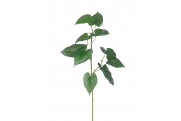 Větev Anturie zelená 70 cm