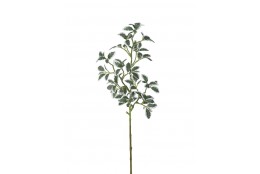 Větev mini Ficus zeleno-bílý 73 cm