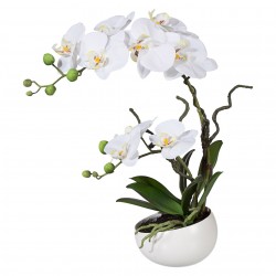 Orchidej 42 cm, odštípnutý okraj květináče