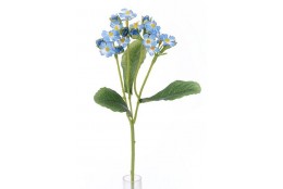 Pomněnka zápich 30 CM