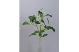 Jmelí zelené 41 cm