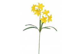 Narcis žlutý 6 květů 57 cm