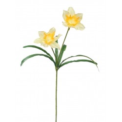 Narcis žlutý 51 cm