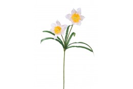 Narcis žluto-bílý 51 cm