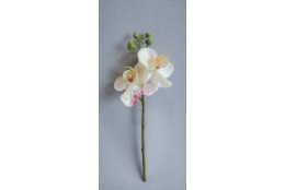 Orchidej bílo-fialová malá 25 cm