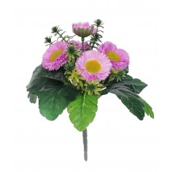 Bellis sv. fialová 23 cm