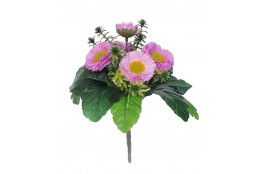 Bellis sv. fialová 23 cm