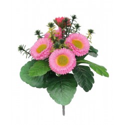 Bellis růžový 23 cm