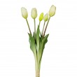 Tulipán svazek bílý