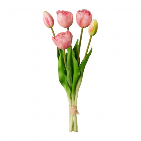 Tulipán svazek plnokvětý, 5 ks růžová