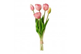 Tulipán svazek plnokvětý, 5 ks růžová