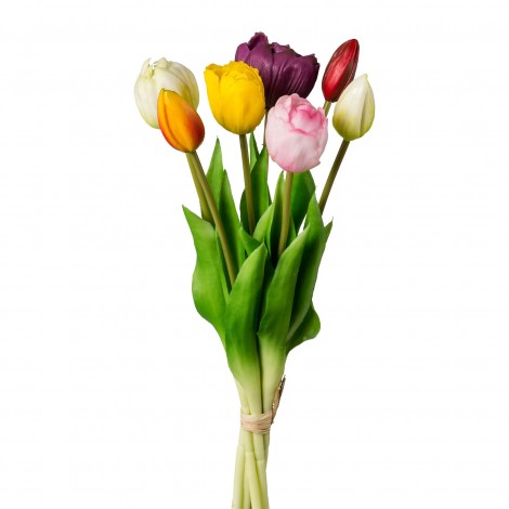 Tulipán svazek plnokvětý, 5 ks multi