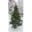 A A Vánoční stromek 240 cm