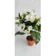 Kytice růže, gerbera, 6 barev