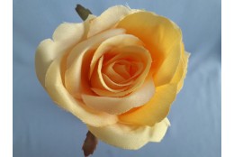 Růže sv. oranžovo-žlutá vazbová 7*8 cm