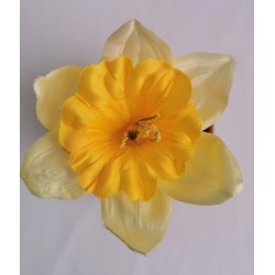 Narcis žlutý vazbový Ø 13 cm