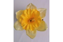 Narcis žlutý vazbový Ø 13 cm