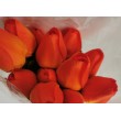 Tulipán pugét, 12 ks, 8 barev