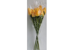 Tulipán pugét 12 ks žlutý 60 cm
