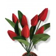 Tulipán svazek, 42 cm, 6 barev