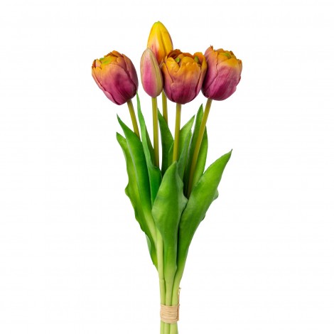 Tulipán svazek plnokvětý, 5 ks fial.-žlutá
