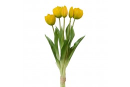 Tulipán svazek plnokvětý, 5 ks žlutá