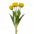Tulipán svazek plnokvětý, 5 ks žlutá
