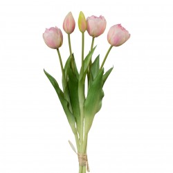 Tulipán svazek plnokvětý 5 ks sv. růžová 39 cm