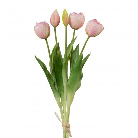 Tulipán svazek plnokvětý, 5 ks, sv. růžová