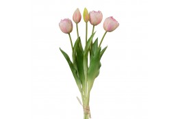 Tulipán svazek plnokvětý 5 ks sv. růžová 39 cm